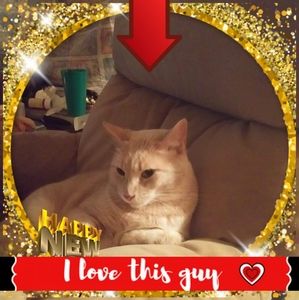 Meet your Posher, Doris